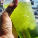 빽다방 영천시청점 이미지