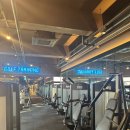 로데오 골프 아카데미 | [장항동골프장] 골프치며 살 빠졌어요! 골프가 진짜 운동이 되는 이유, 알려드릴게요!!