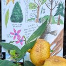 난향동-25 이미지