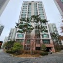 중앙동207 이미지