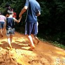 계족산 황톳길 이미지