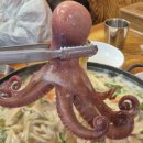 엄마손칼국수 | 당진 안섬포구 로컬맛집 "엄마손칼국수" 후기