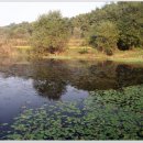 증평낚시 이미지