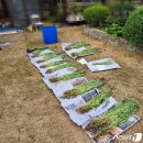 해경주택 이미지