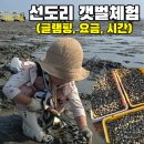 청흥리 저온저장고 옆 | 5살 아이랑 갯벌체험 서천 선도리갯벌체험장 글램핑 조개캐기 해루질