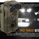 이지정보통신 이미지