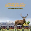 야옹아 멍멍해봐 리딩샵 이미지