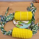 찬스덴탈 이미지