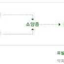 아토피 피부염의 자가진단 기준 이미지