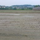 탑전낚시터 이미지