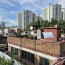 중앙동223 이미지