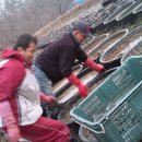 백련주유소 이미지