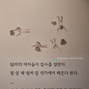 서귀동 천지연 생수궤 | 제주도 실내 가볼만한곳, 제주항 근처 국립제주박물관 실감영상, 입장료 무료