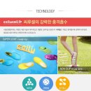 카슈즈
