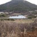 옥터농장 이미지