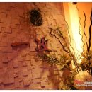 일공중식 이미지