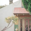 온도상회