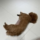 컴피 화명점 이미지