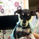 염리초교 이미지