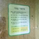 제주도 혼자 여행 첫 일정, 한라산 관음사 야영장 캠핑 후기