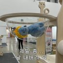 일상일기