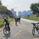 청운골흑염소