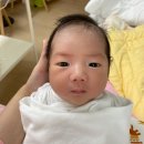 대신스튜디오
