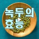 녹두(Mung Bean)의 효능 이미지