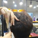 핸섬살롱 이미지