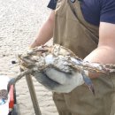 써니의 펜션 스토리 이미지