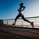 이안피티 이미지