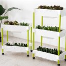 관수 | 상추 키우기 쉬운 방법｜베란다 저면관수 화분 사용 후기