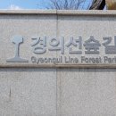 마포, 걷고싶은길 1코스 | 홍대입구역 7번출구 산책로 경의선숲길 산책로 - 마포걷고싶은길 1코스