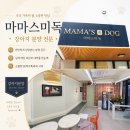 dog's 애견샵 | 대구소형견분양 마마스미독｜작은 체구 안에 서로 다른 대구소형견분양 이야기