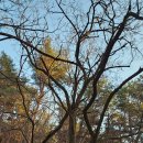 산길노래연습장 이미지