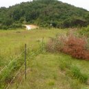 예동발전소 이미지