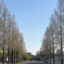 강서체육공원 보조체육관(2층) | 부산 강서체육공원 수영장 평일 자유수영 후기