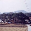 사매면 인화마을 이미지