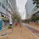 보물섬부동산사무소 | 2024년을 맞이한 미사강변SKV1센터의 모습 이모저모