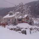 허준약초골 이미지