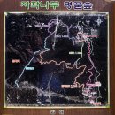 자작나무힐 Daum카페