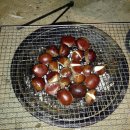 정재농장 이미지