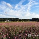 양주덕현초등학교 이미지