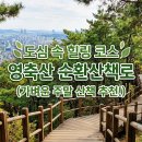 영축산순환산책로(유아숲) 티스토리