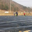 영선농장 이미지