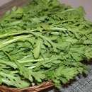 자연대로4 이미지