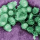 중추양계장 이미지