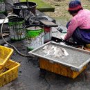 흑산리조트 이미지