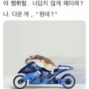 3공단2로 | [2026 상반기 주택관리공단] '채용형 인턴(행정직)' 서류 합격 및 면접 후기