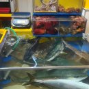 천우수산 이미지